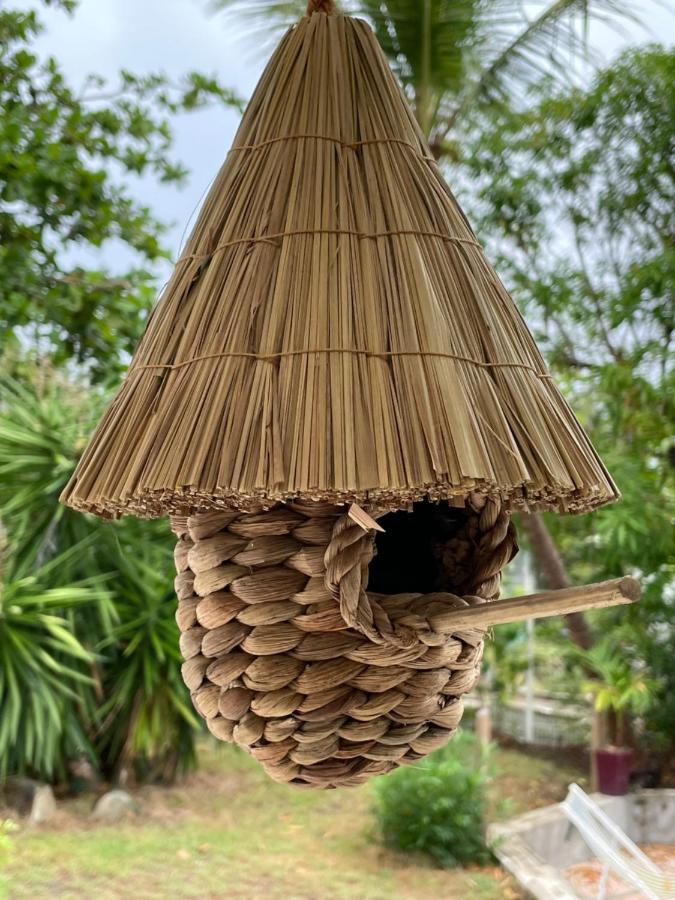 Shamrock Vanille Orient Bay Cul de Sac Exterior photo